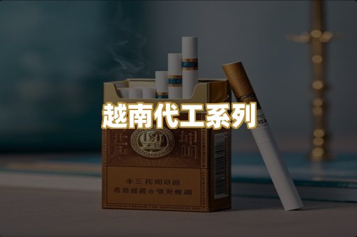 越南代工系列
